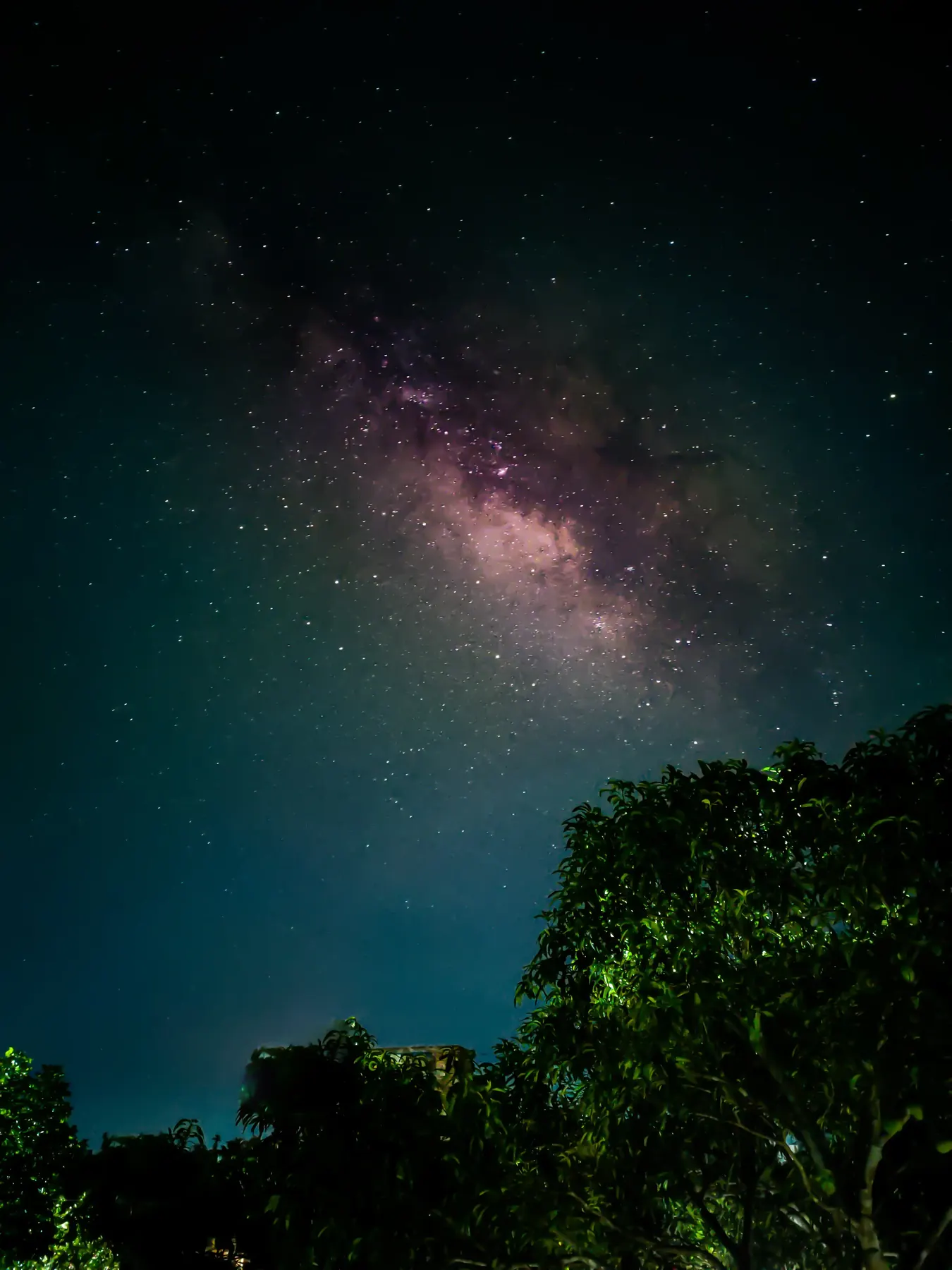 The Milky Way over a dark treeline at night