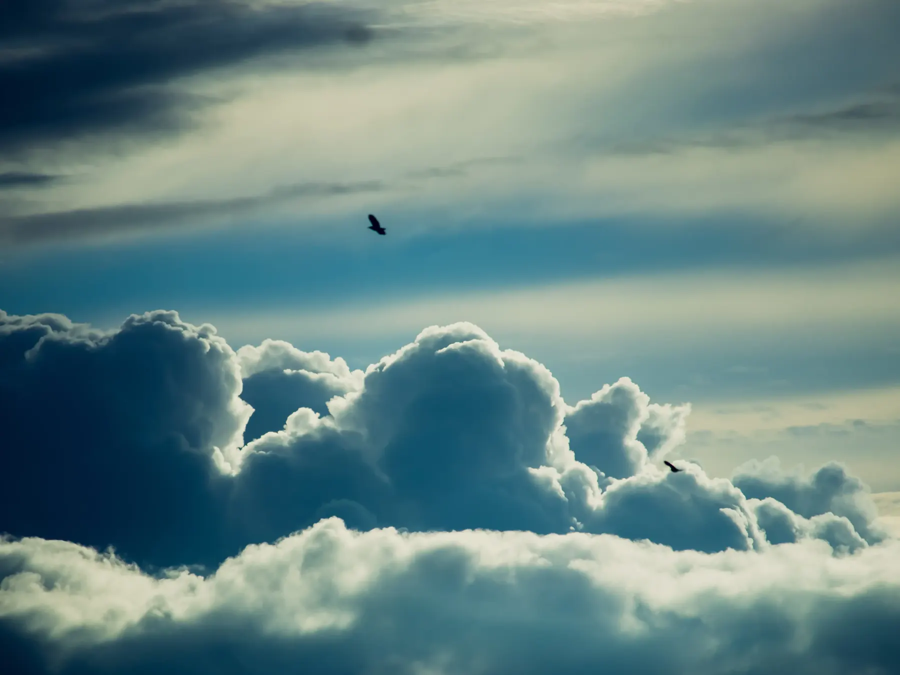 White clouds in a blue sky with a small bird