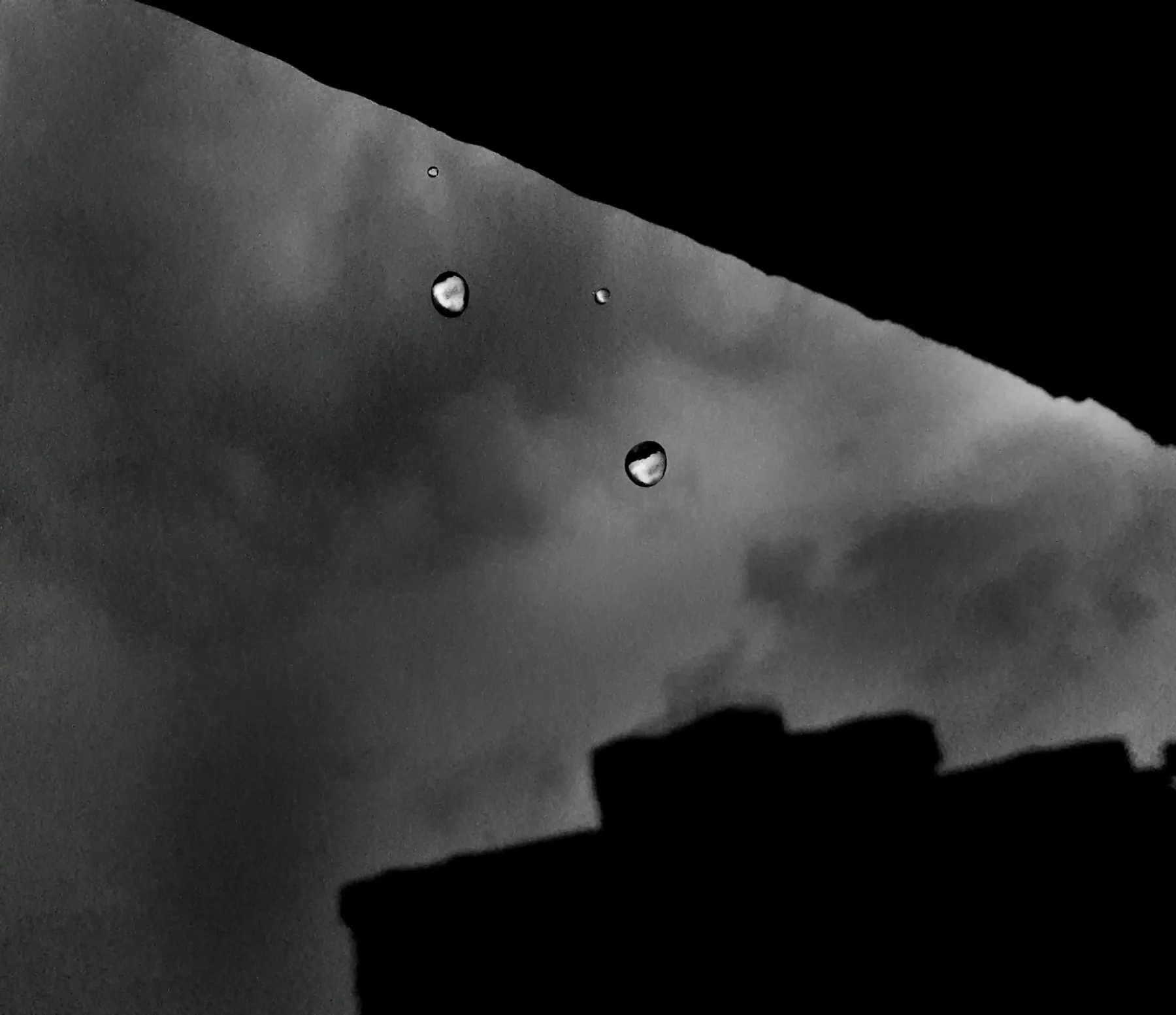 Black and white birds flying over a silhouetted chimney