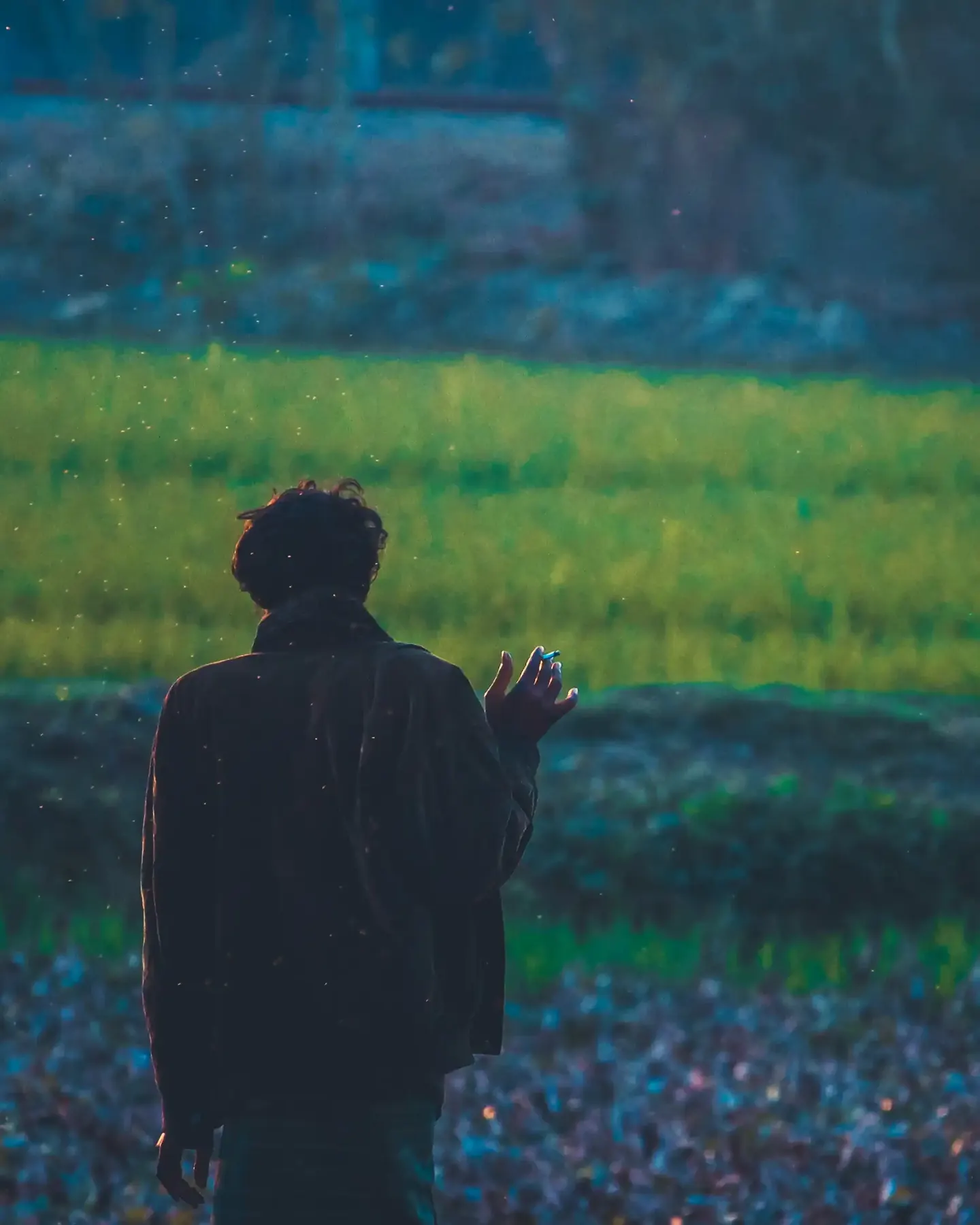 A person standing in a green rice field at dusk