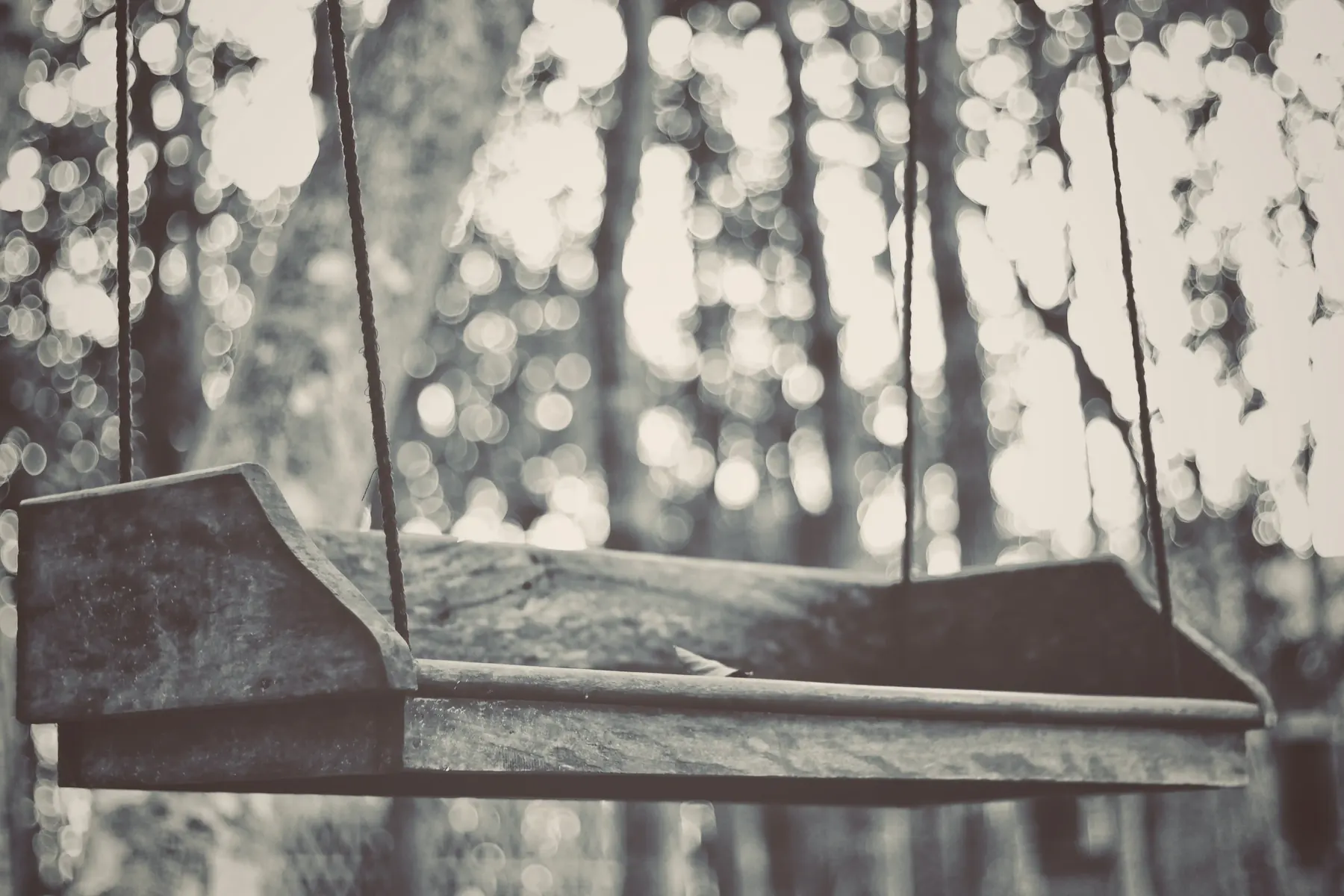 Black and white image of a wooden bench under dappled trees