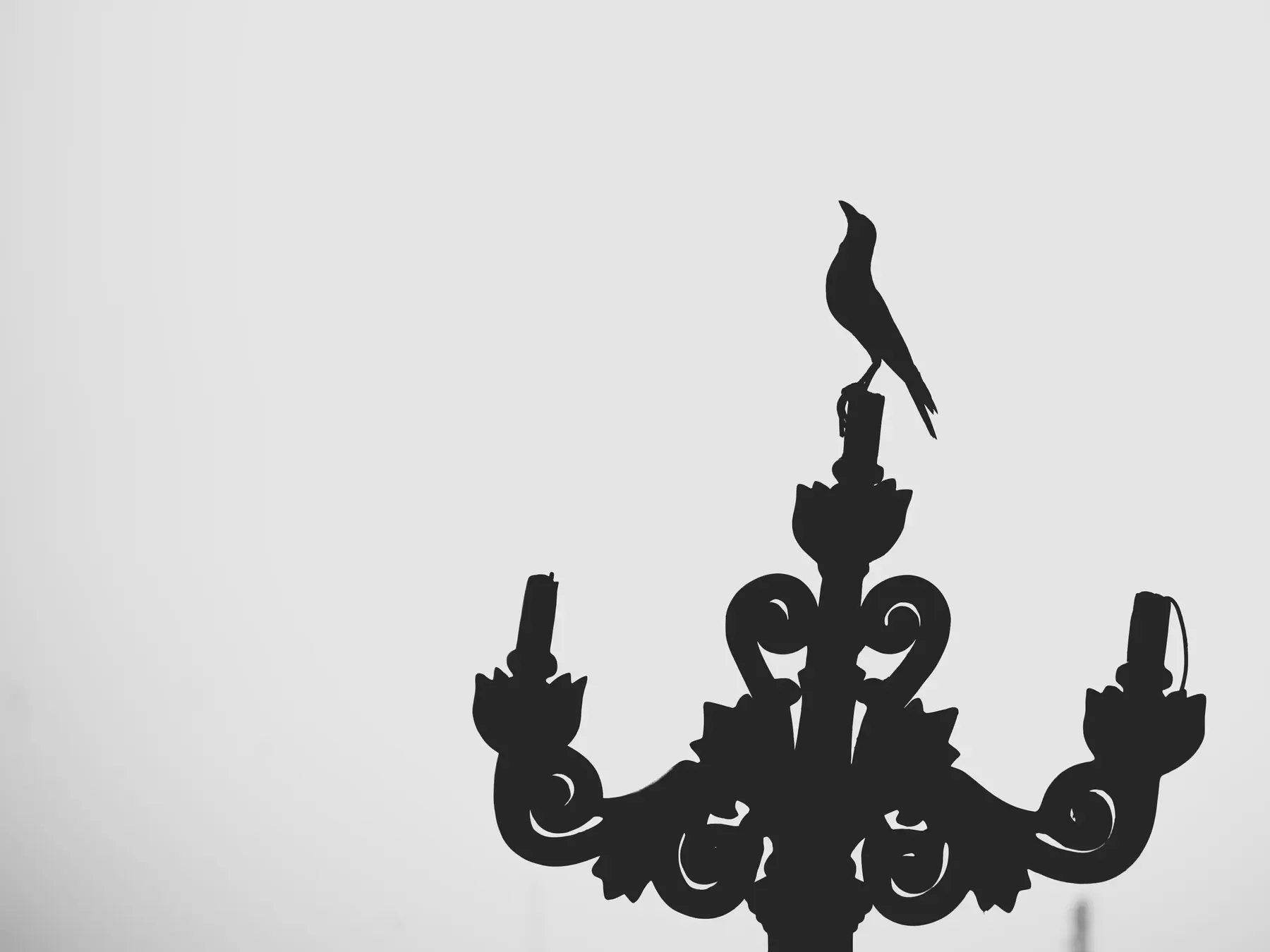 An ornamental candelabra silhouette with a bird perched on top